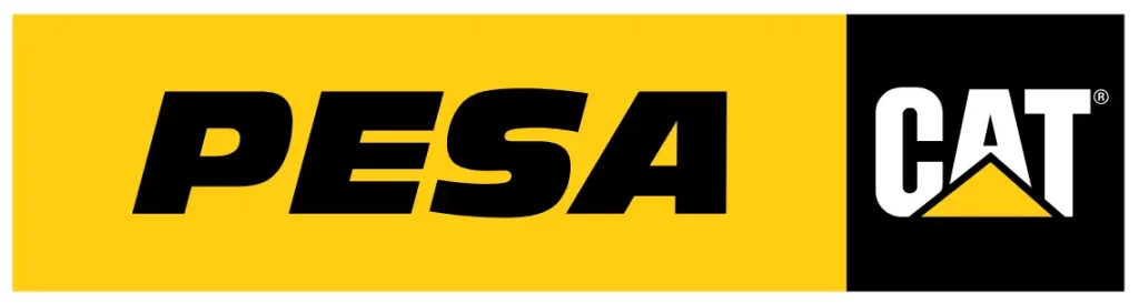 Logo Rede PESA